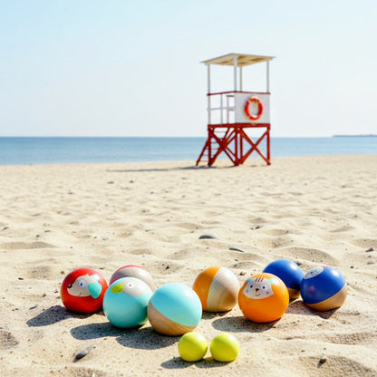 BOCCIA / PETANQUE SÆT